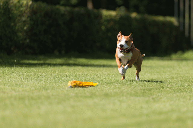 Cs3Q5086 19875198853 O