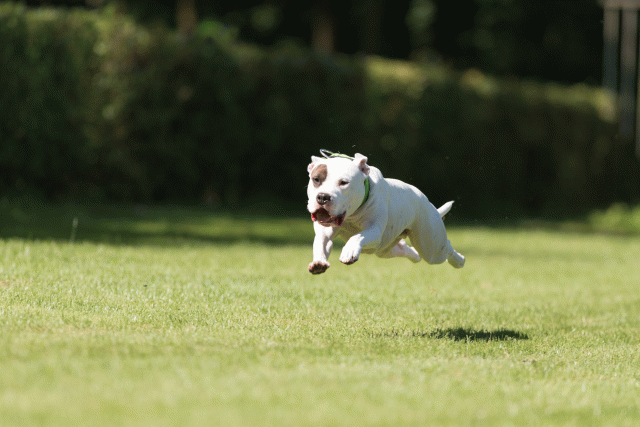 Cs3Q5077 19875206093 O