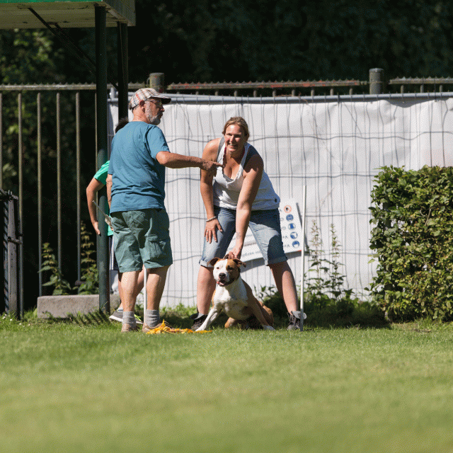 Cs3Q5048 19875221413 O