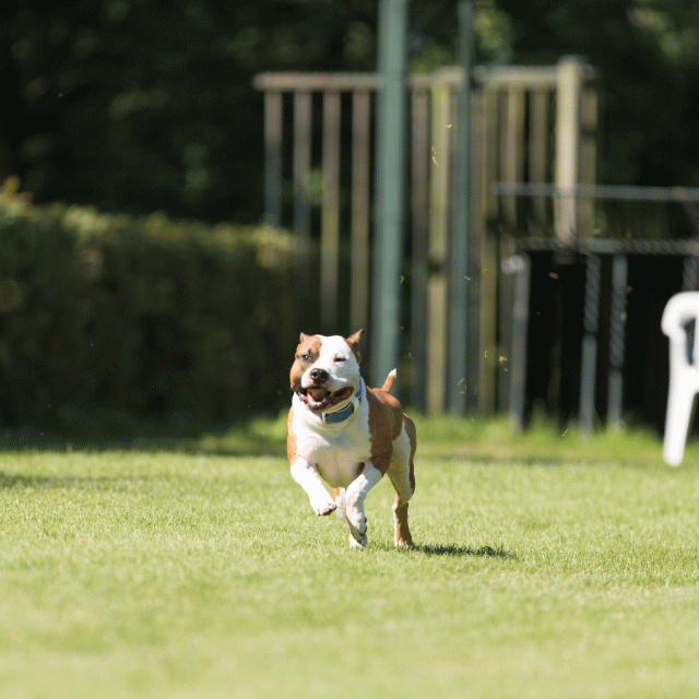 Cs3Q5045 19875223273 O