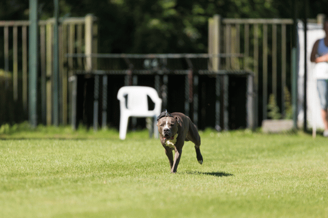 Cs3Q5022 19875243283 O