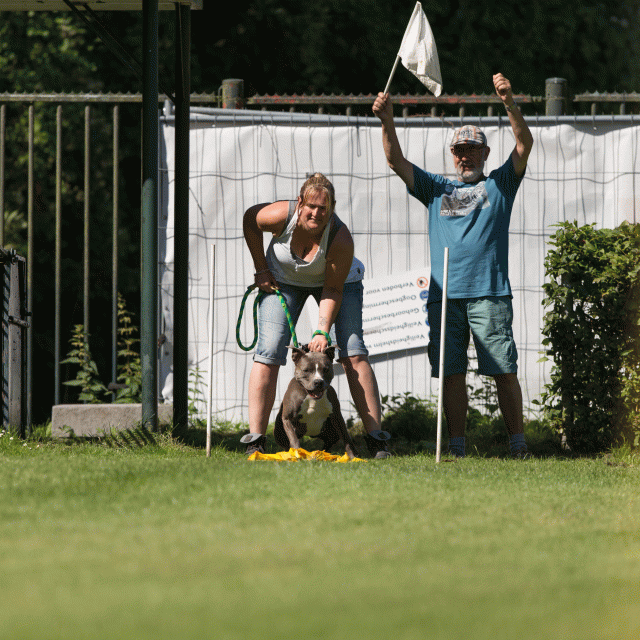 Cs3Q5014 19875249563 O