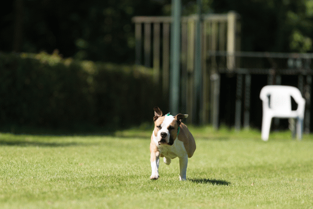 Cs3Q5001 19875259363 O