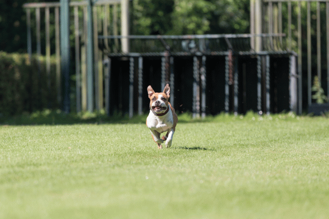 Cs3Q4908 19875284153 O