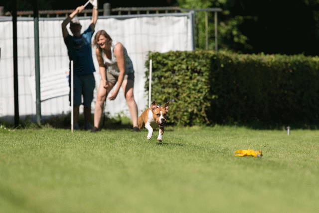 Cs3Q4873 19875310073 O