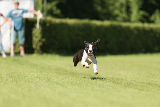 Cs3Q4866 19875315333 O