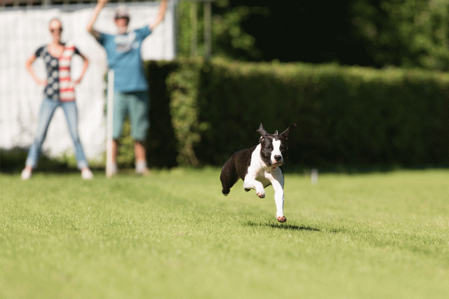 Cs3Q4862 19875317873 O