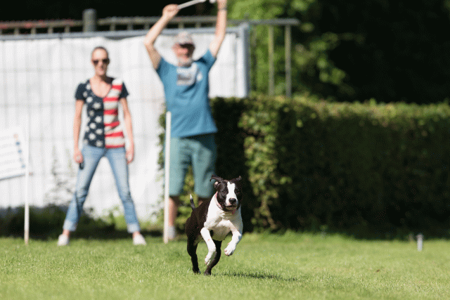 Cs3Q4853 19875321013 O