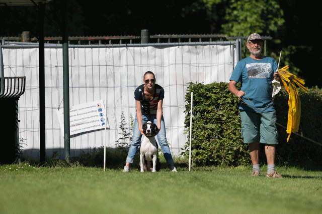 Cs3Q4841 19875324823 O