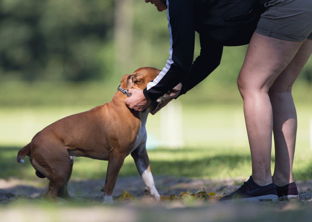 Cs3Q4705 19875349643 O