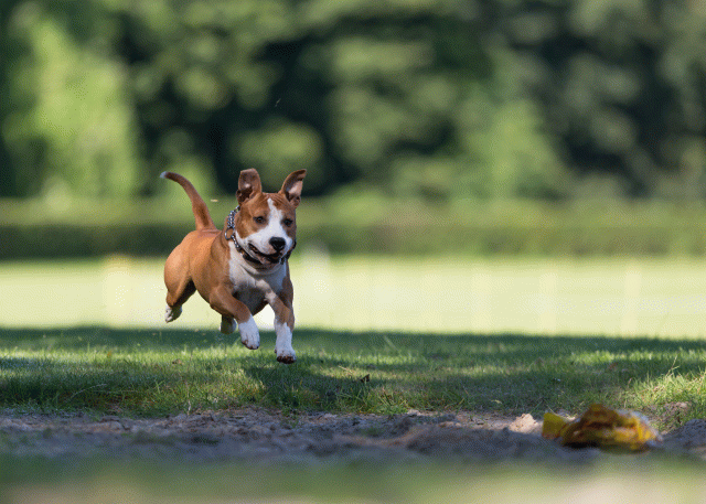 Cs3Q4685 19875351083 O