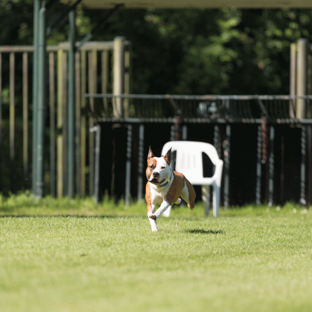 Cs3Q5043 20307435218 O