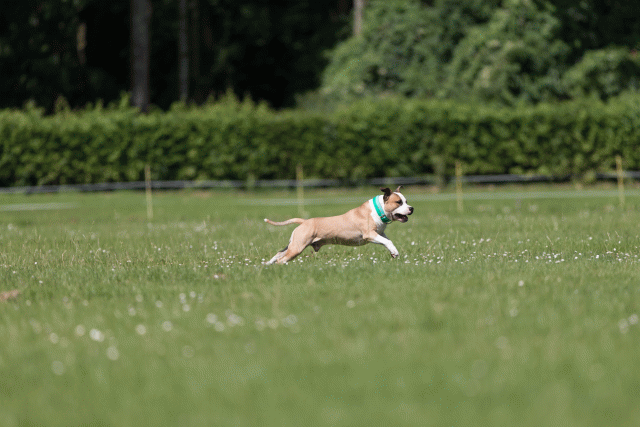 Cs3Q5215 20307946600 O