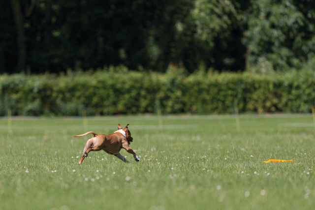 Cs3Q5173 20307984740 O