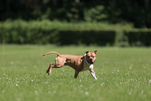 Cs3Q5167 20307989260 O