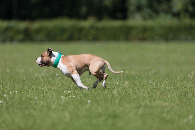 Cs3Q5210 20307990738 O