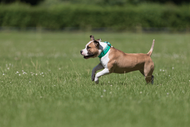 Cs3Q5207 20307994518 O