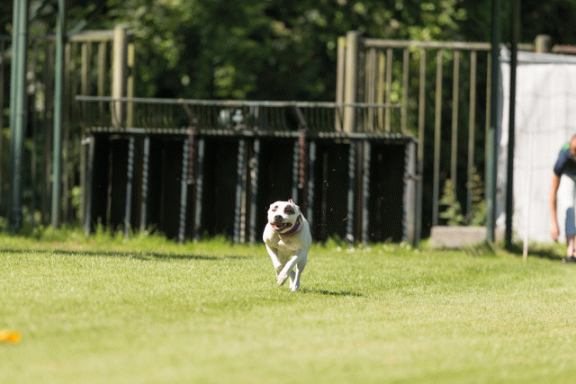 Cs3Q5119 20308012620 O