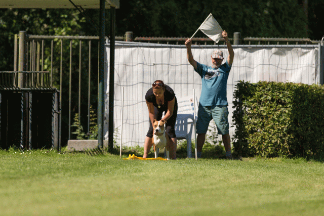 Cs3Q5110 20308019760 O