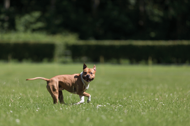 Cs3Q5169 20308028488 O