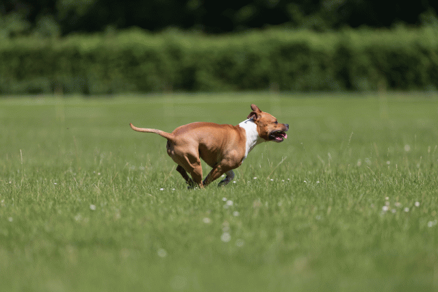 Cs3Q5163 20308034388 O