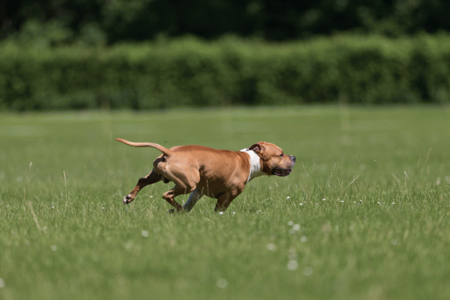 Cs3Q5162 20308035758 O