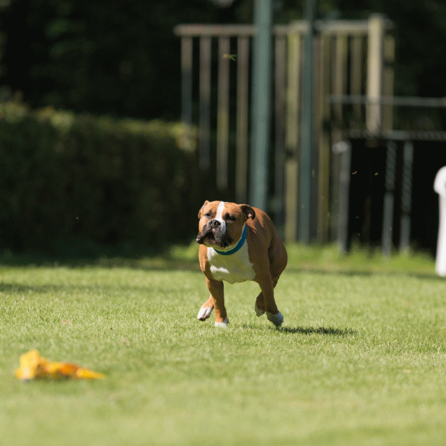 Cs3Q5062 20308053770 O