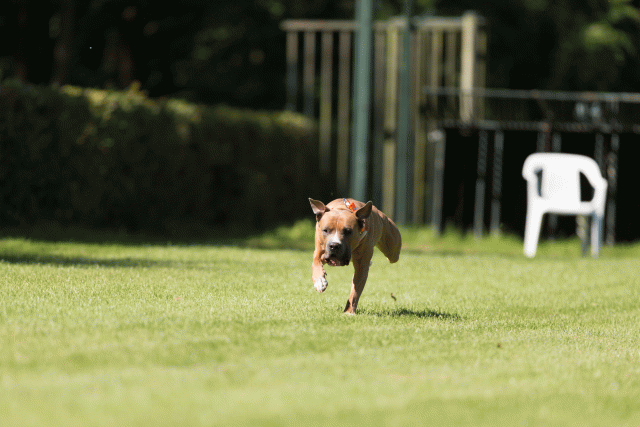 Cs3Q5036 20308068180 O