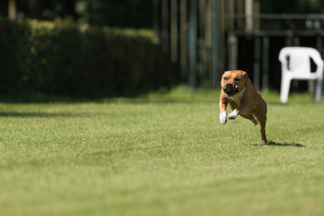 Cs3Q5093 20308072998 O