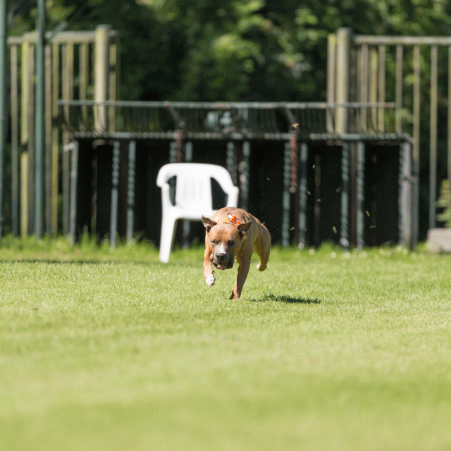 Cs3Q5029 20308075650 O