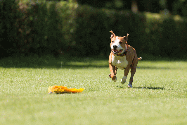 Cs3Q5089 20308076548 O