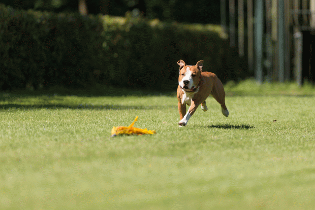 Cs3Q5084 20308080118 O