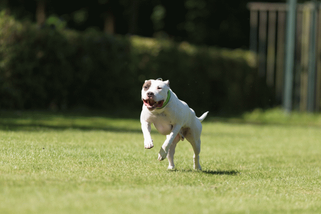 Cs3Q5076 20308086168 O