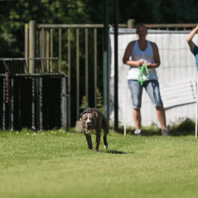 Cs3Q5016 20308086550 O