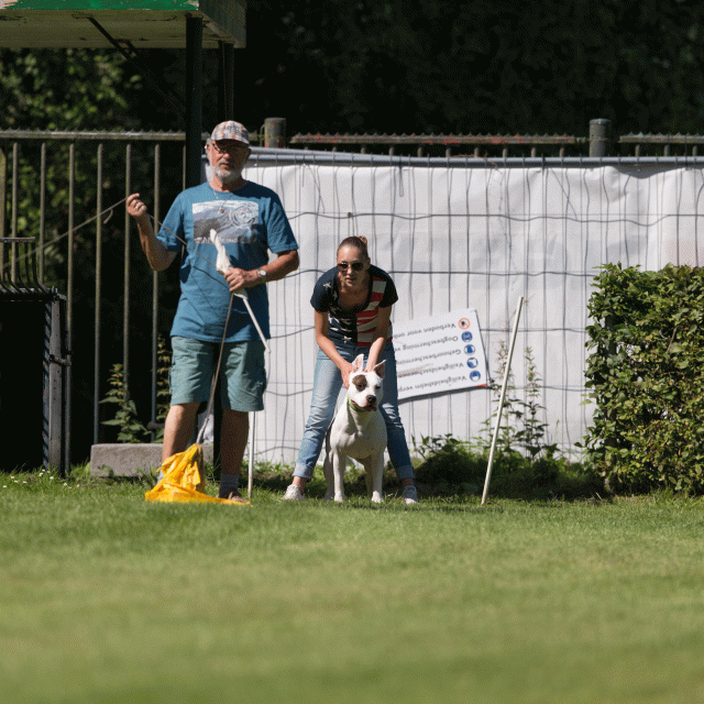 Cs3Q5070 20308091318 O