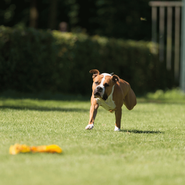 Cs3Q5065 20308092748 O