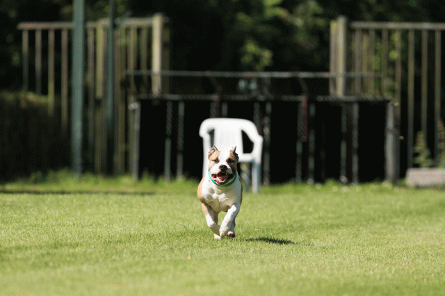 Cs3Q4996 20308102230 O