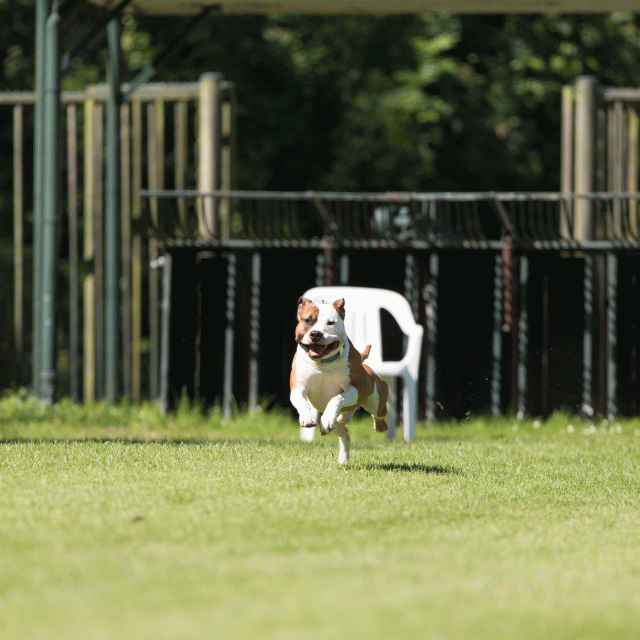 Cs3Q5042 20308104088 O