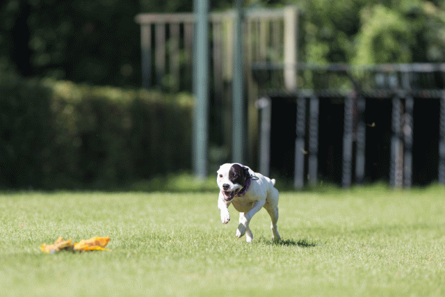 Cs3Q4973 20308107340 O