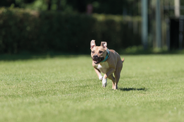 Cs3Q4931 20308111920 O