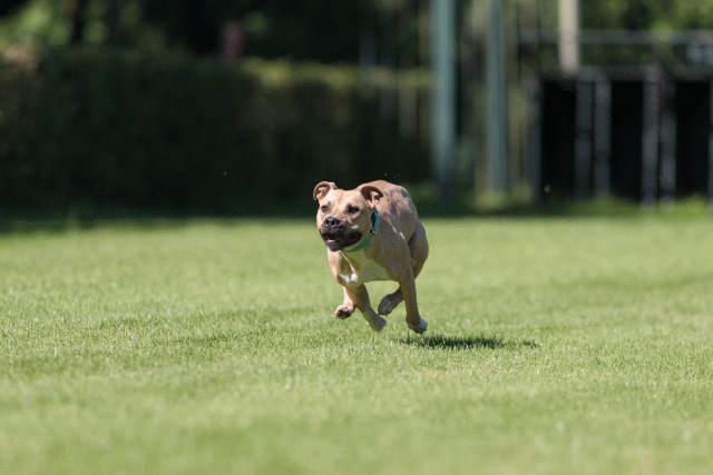 Cs3Q4930 20308112970 O