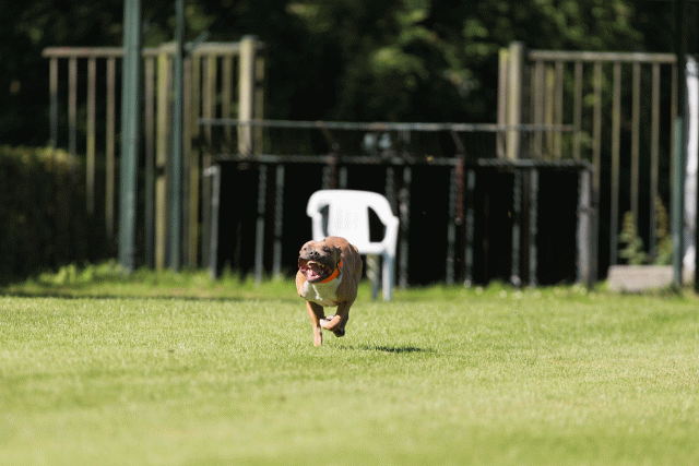 Cs3Q5031 20308115188 O