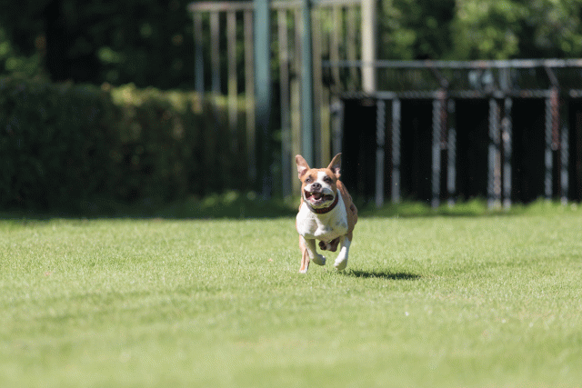 Cs3Q4911 20308118380 O