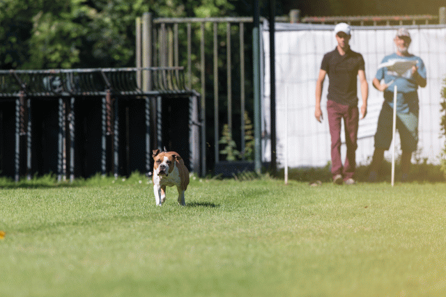 Cs3Q4906 20308123500 O