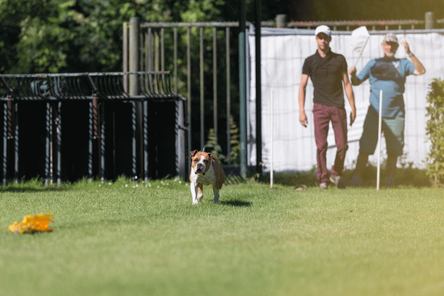 Cs3Q4903 20308126660 O