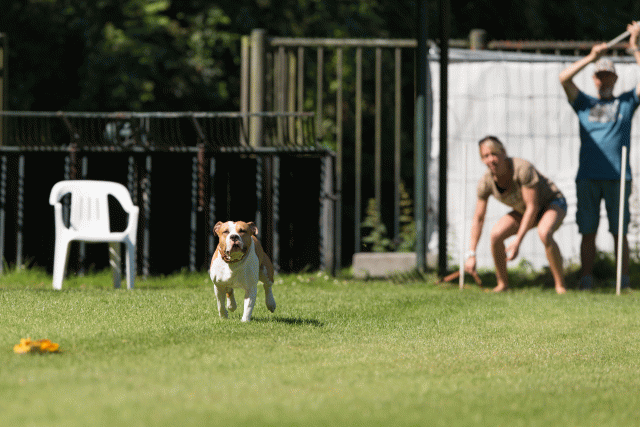 Cs3Q5005 20308136388 O