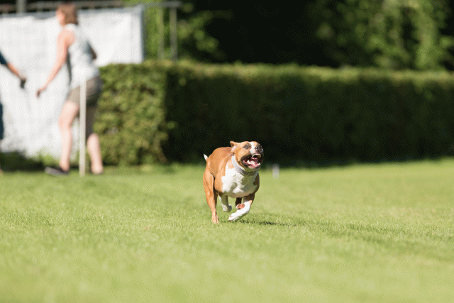 Cs3Q4882 20308138230 O