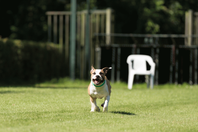 Cs3Q4999 20308140268 O