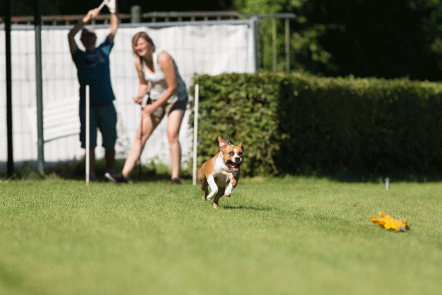 Cs3Q4876 20308144200 O