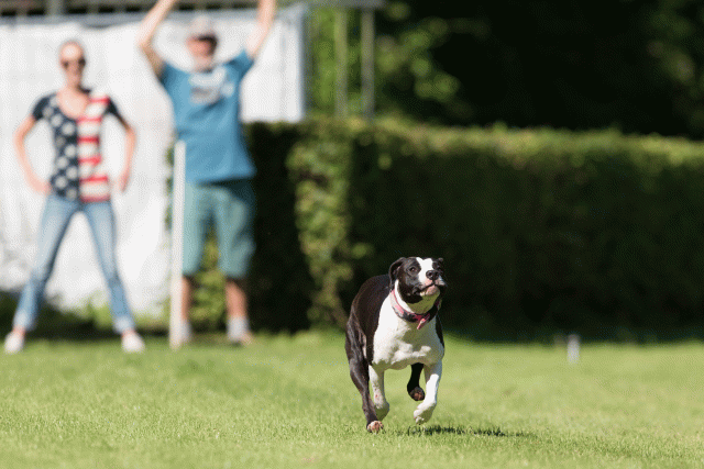 Cs3Q4860 20308155900 O